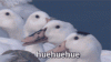 200.gif