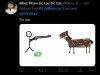 5AF69652-28DB-4736-A93F-90B06093286B.jpeg