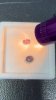VideoCapture_20240913-185355.jpg