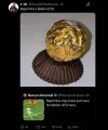 IMG_8250.jpeg