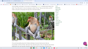 Screenshot 2025-05-26 21.19.42.png