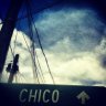 chicone