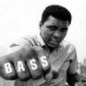 BassheadT