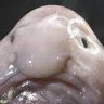 PaulZocker