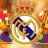 Yordi11