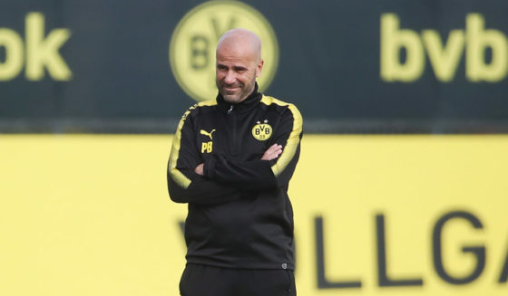 Peter Bosz Borussia Dortmund