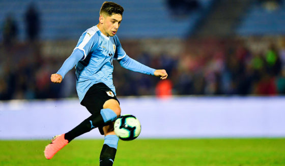 Federico Valverde Uruguay's Federico Valverde strikes the ball to score against Panama during their international friendly football match at Centenario Stadium in Montevideo on June 7, 2019. (Photo by Pedro UGARTE / AFP) (Photo credit should read PEDRO UGARTE/AFP/Getty Images)