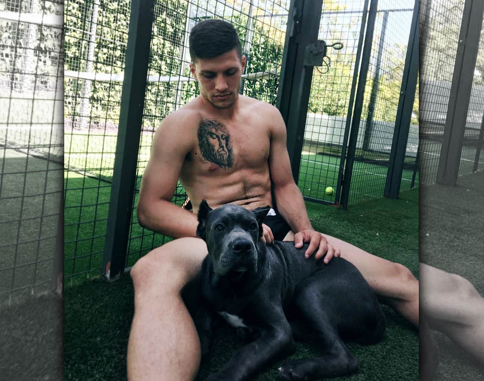 luka-jovic-dog-hund.jpg