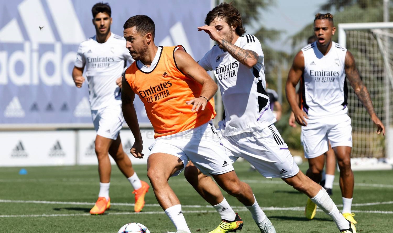 hazard training