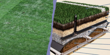 bernabeu rasen problem