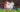 Luka Modric, Raul Asencio Real Madrid