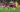Kylian Mbappé Girona Real Madrid