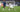 Vinicius Atalanta Real Madrid Champions League
