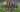 Real Madrid Startelf vs. Rayo Vallecano