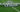 UEFA Champions League Logo