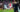 FC Arsenal Manchester City