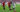 Vinícius Júnior Osasuna Real Madrid