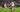 Vinícius Júnior Real Madrid Girona