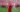 Trent Alexander-Arnold FC Liverpool Real Madrid