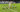 Lucas Vázquez Real Madrid