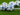 Champions League Ball